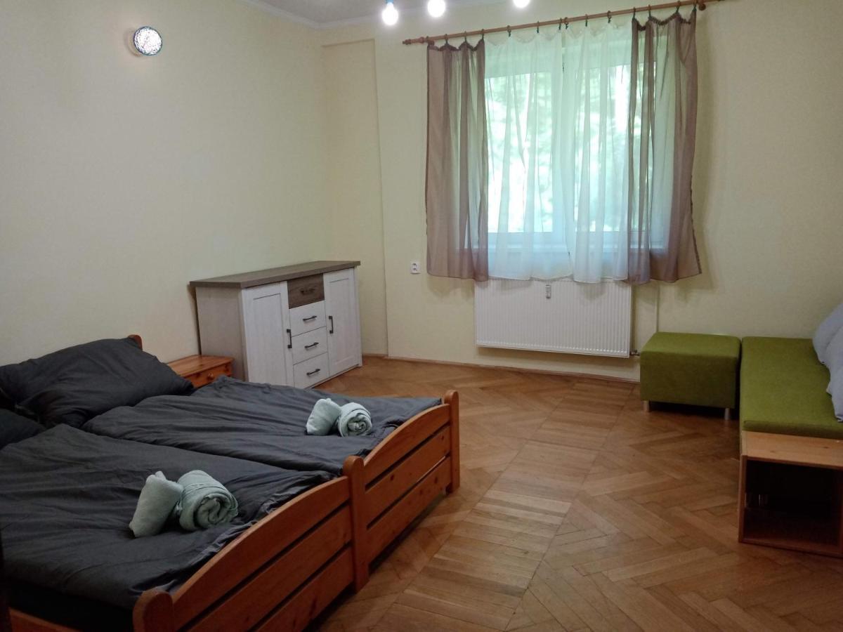 Apartman Xxl Jáchymov Dış mekan fotoğraf